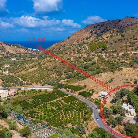 פודלה Bougainvilla מראה חיצוני תמונה