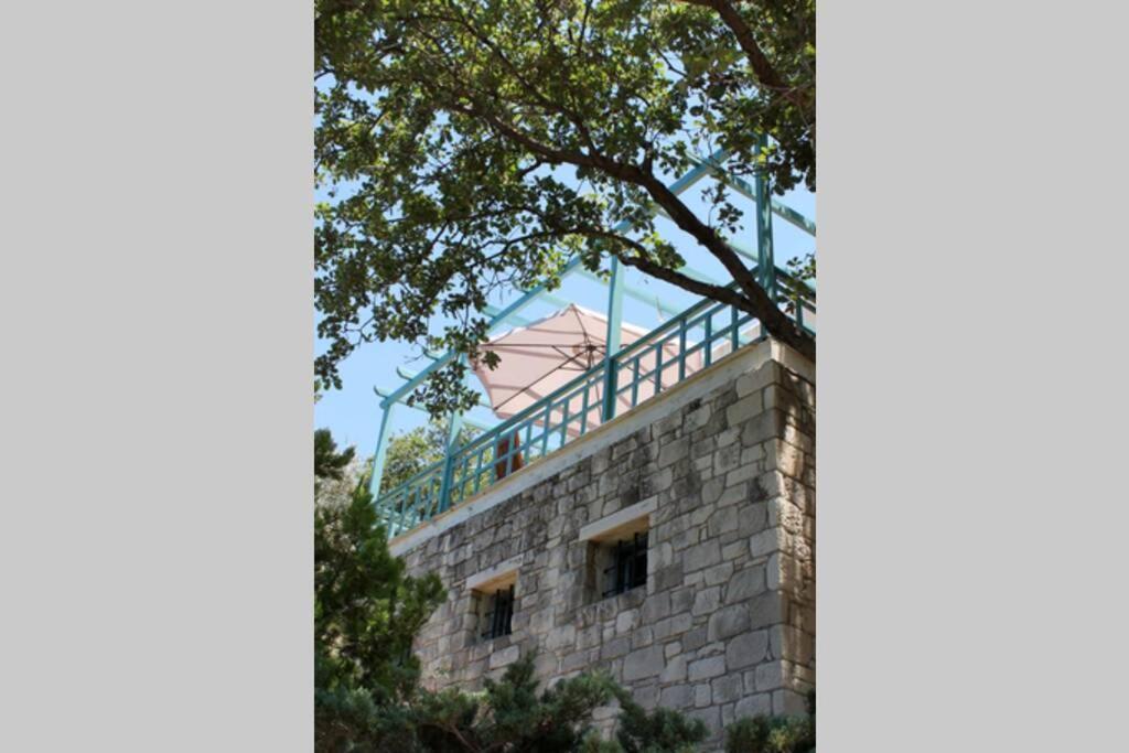 פודלה Bougainvilla מראה חיצוני תמונה