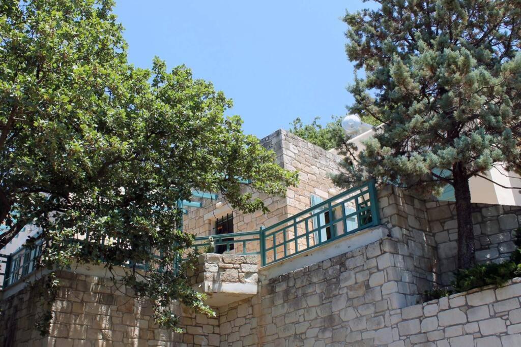 פודלה Bougainvilla מראה חיצוני תמונה