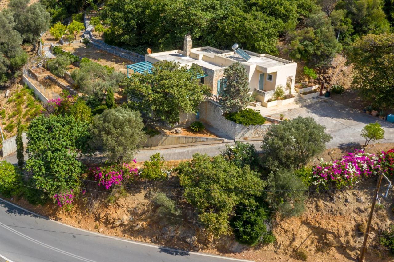 פודלה Bougainvilla מראה חיצוני תמונה