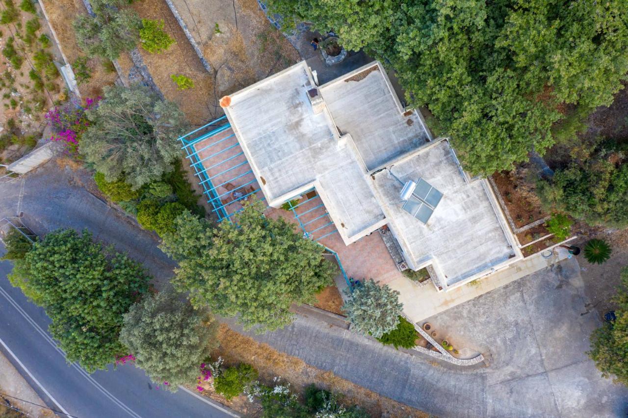פודלה Bougainvilla מראה חיצוני תמונה