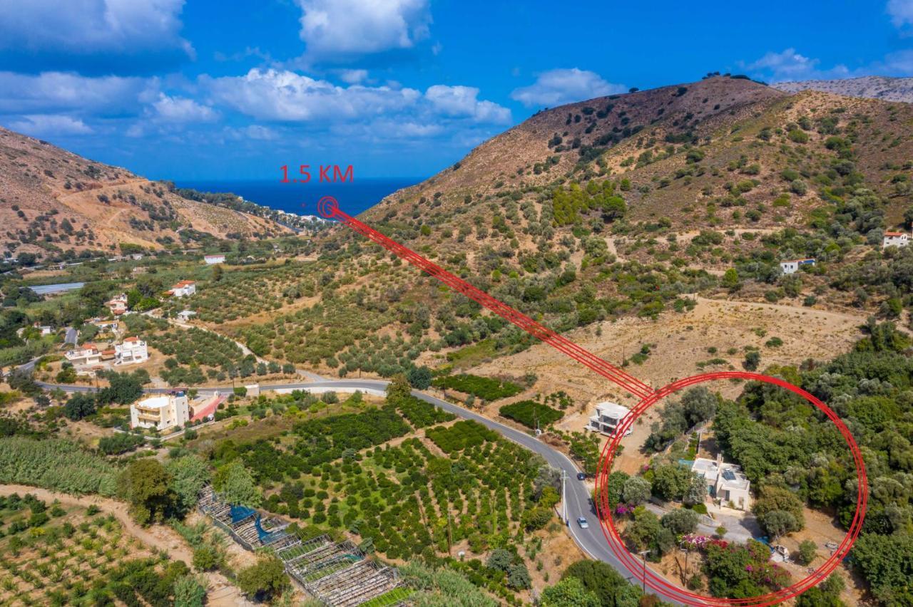 פודלה Bougainvilla מראה חיצוני תמונה